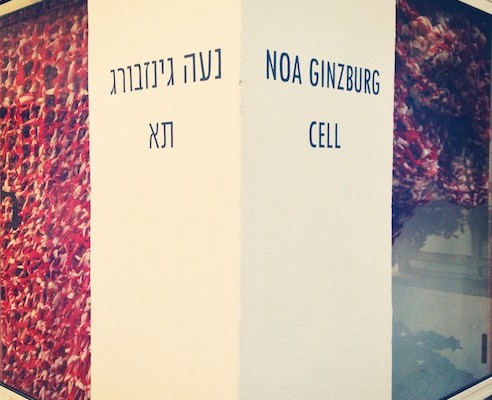 Noa Ginzburg- Cell