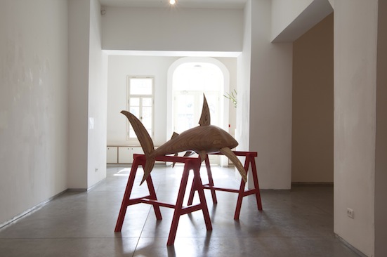 photo-10