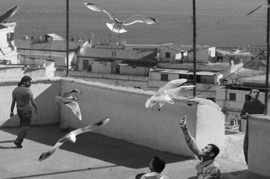 david-claerbout-the-algiers-sections-of-a-happy-moment-2008-single-channel-video-projection-black-white-37-min-loop-courtesy-of-the-collection-of-pamela-and-richard-kramlich-sf