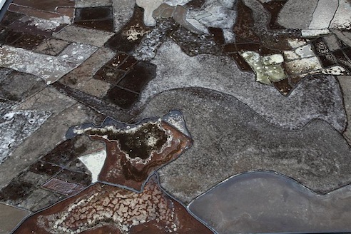 Gal Weinstein, Jezreel Valley in the Dark (detail), 2013, black coffee and mold on PVC, 211X270X0.5 cm (7)