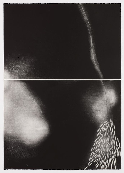 Avital Cnaani, Black fields , Etching - Aquatint, 2012, 10676 cm
