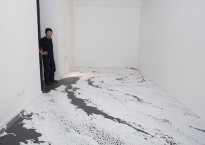 Motoi Yamamoto and his salt work